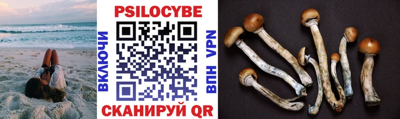 Галлюциногенные грибы мицелий  Дорогобуж 